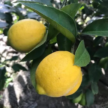 Bed & Breakfast Maison Du Pierrou