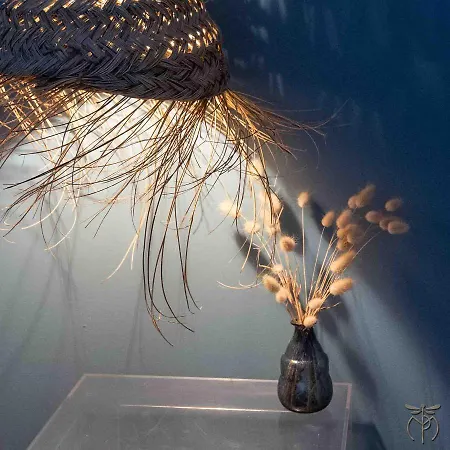 Maison Du Pierrou Bed & Breakfast Sorde-lʼAbbaye