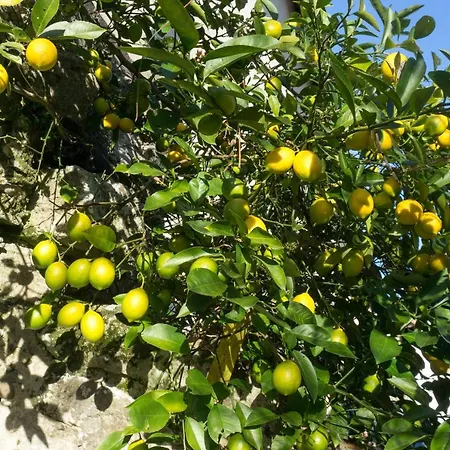 Maison Du Pierrou * Sorde-lʼAbbaye